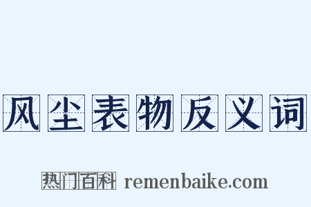 风尘表物反义词是什么意思的图片
